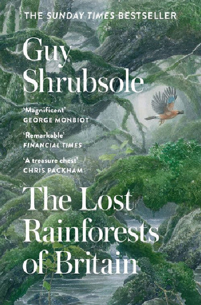 Clawr llyfr / Book cover: The Lost Rainforests of Britain