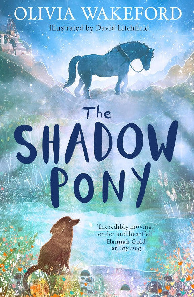 Clawr llyfr / Book cover: The Shadow Pony