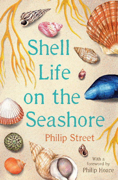 Clawr llyfr / Book cover: Shell Life of the Seashore