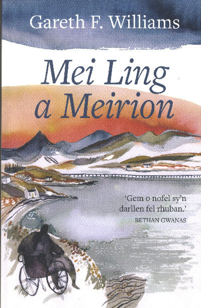 Clawr llyfr / Book cover: Mei Ling a Meirion