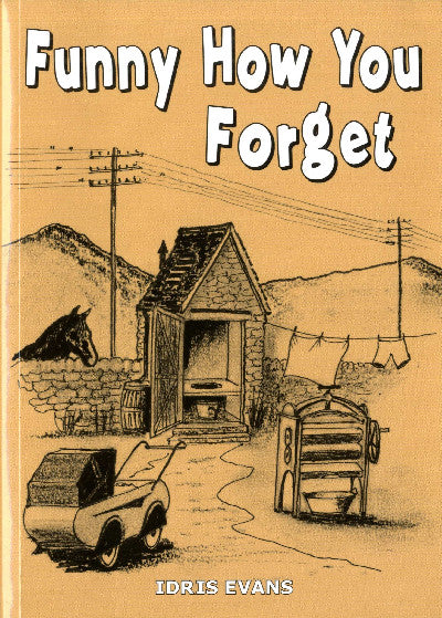 Clawr llyfr / Book cover: Funny How You Forget