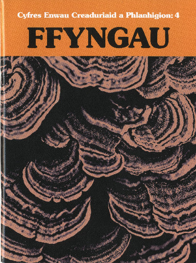 Clawr llyfr / Book cover: Cyfres Enwau Creaduriaid a Phlanhigion: 4 Ffyngau