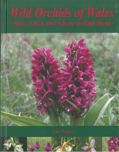 Clawr llyfr / Book cover: Wild Orchids of Wales