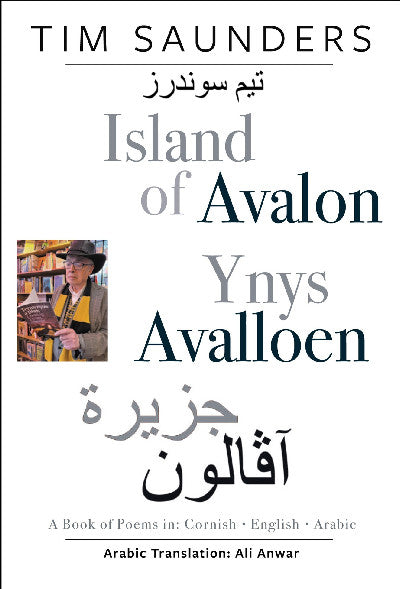 Clawr llyfr / Book cover: Island of Avalon / Ynys Avalloen