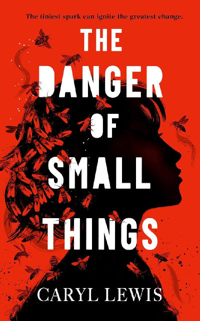 Clawr llyfr / Book cover: The Danger of Small Things