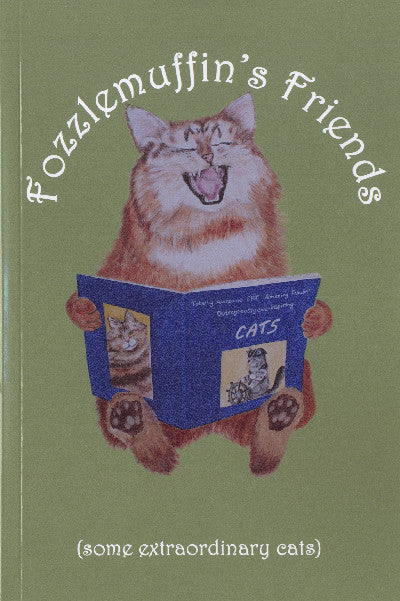 Clawr llyfr / Book cover: Fozzlemuffin's Friends