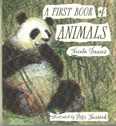 Clawr llyfr / Book cover: A First Book of Animals
