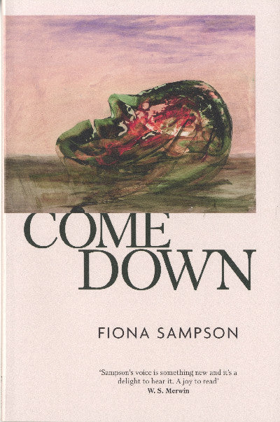 Clawr llyfr / Book cover: Come Down