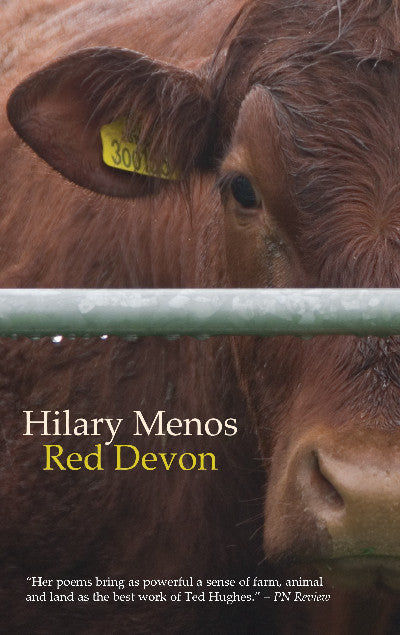 Clawr llyfr / Book cover: Red Devon