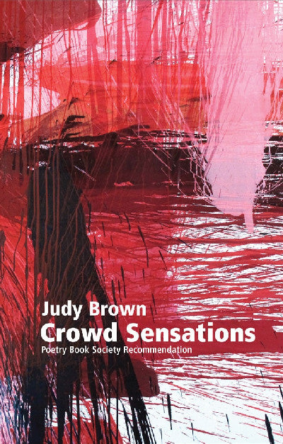 Clawr llyfr / Book cover: Crowd Sensations
