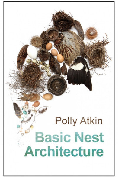Clawr llyfr / Book cover: Basic Nest Architecture