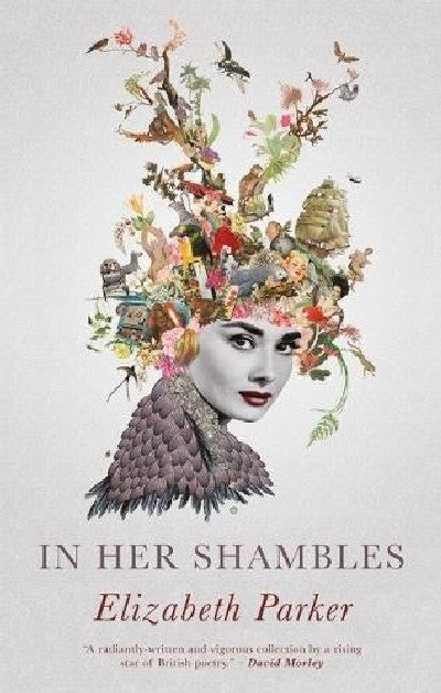 Clawr llyfr / Book cover: In her Shambles