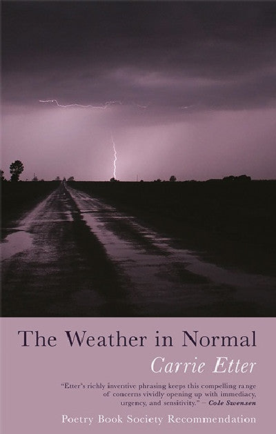 Clawr llyfr / Book cover: Weather in Normal, The