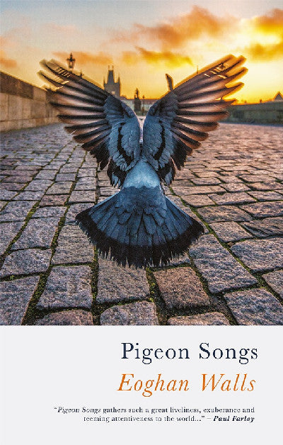 Clawr llyfr / Book cover: Pigeon Songs