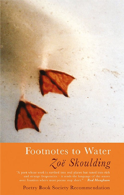 Clawr llyfr / Book cover: Footnotes to Water