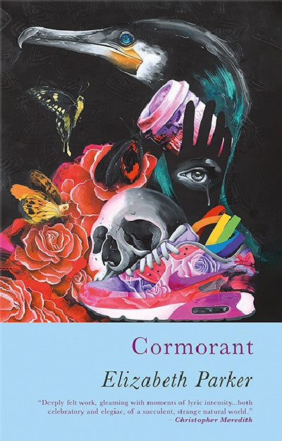 Clawr llyfr / Book cover: Cormorant