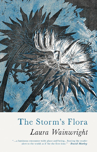 Clawr llyfr / Book cover: The Storm's Flora