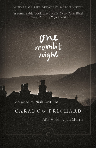 Clawr llyfr / Book cover: One Moonlit Night