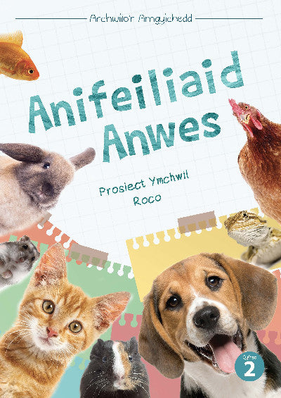 Clawr llyfr / Book cover: Cyfres Archwilio'r Amgylchedd: Anifeiliaid Anwes