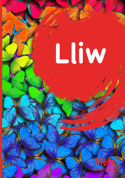 Clawr llyfr / Book cover: Mêts Maesllan 2 - Lliw