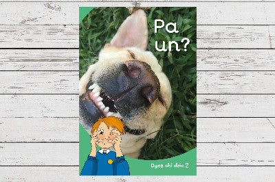 Clawr llyfr / Book cover: Dyna Chi Dric: Pa Un?