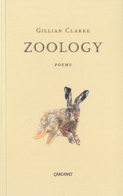 Clawr llyfr / Book cover: Zoology
