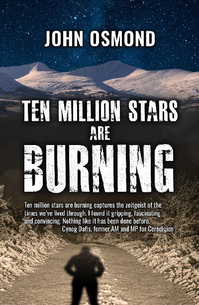 Clawr llyfr / Book cover: Ten Million Stars Are Burning