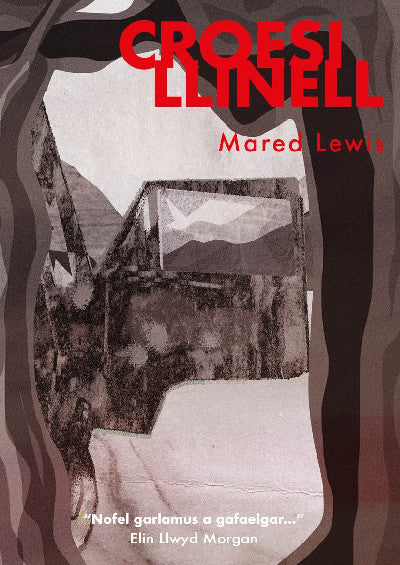 Clawr llyfr / Book cover: Croesi Llinell