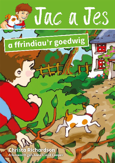 Clawr llyfr / Book cover: Cyfres Jac a Jes: Jac a Jes a Ffrindiau'r Goedwig