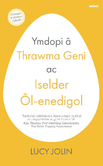 Clawr llyfr / Book cover: Ymdopi â Thrawma Geni ac Iselder Ôl-enedigol