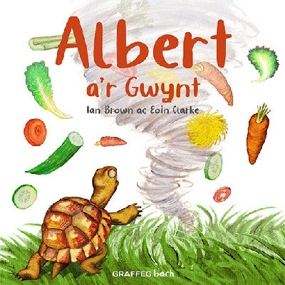 Clawr llyfr / Book cover: Albert a'r Gwynt