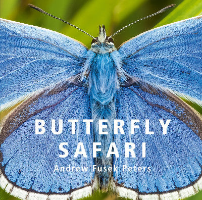 Clawr llyfr / Book cover: Butterfly Safari