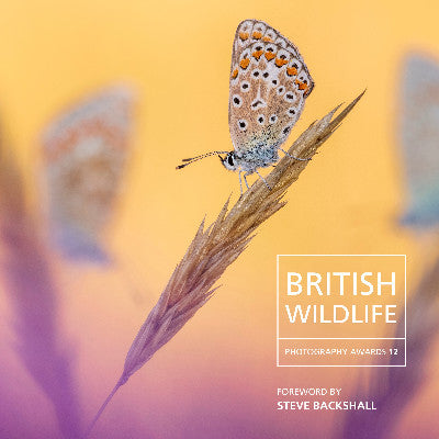Clawr llyfr / Book cover: British Wildlife Photography Awards 12