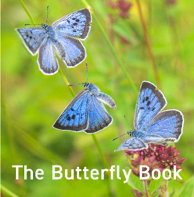 Clawr llyfr / Book cover: Nature Book Series: The Butterfly Book