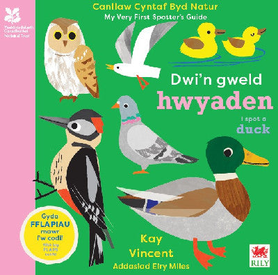 Clawr llyfr / Book cover: Dwi'n Gweld Hwyaden / I Spot a Duck — Canllaw Cyntaf Byd Natur / My Very First Spotter's Guide