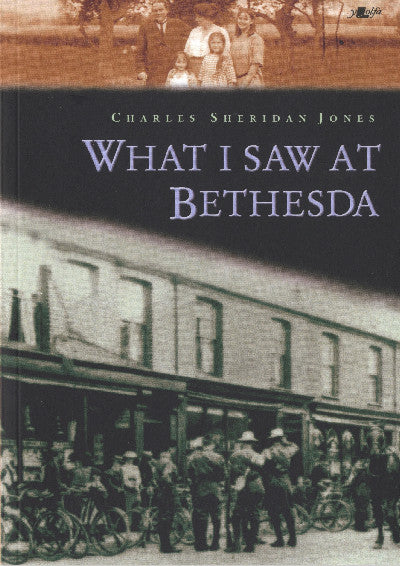 Clawr llyfr / Book cover: What I Saw at Bethesda