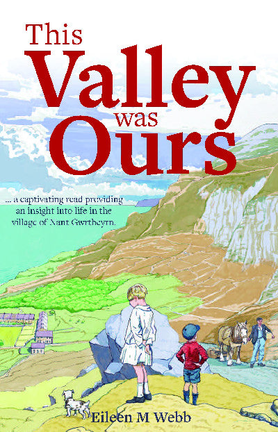Clawr llyfr / Book cover: This Valley was Ours