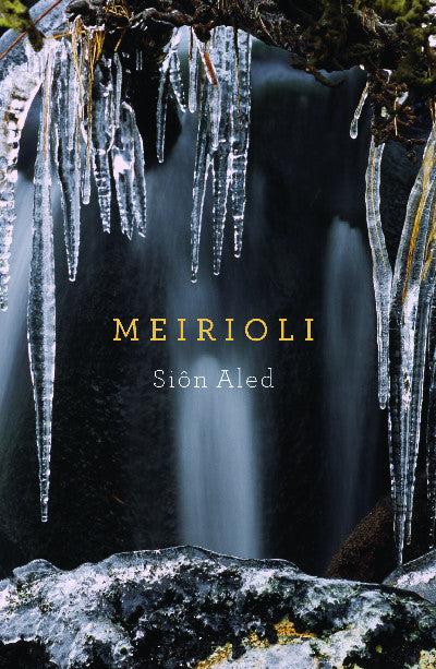 Clawr llyfr / Book cover: Meirioli