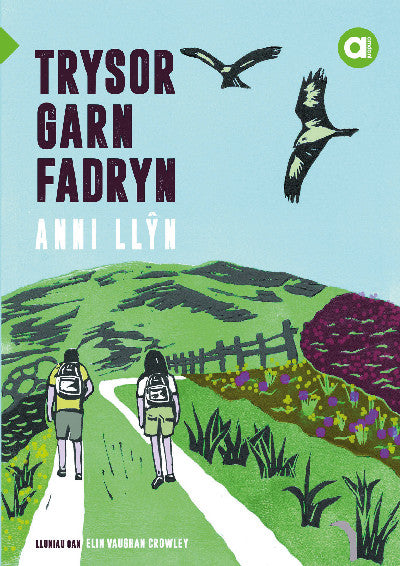Clawr llyfr / Book cover: Cyfres Amdani: Trysor Garn Fadryn