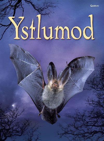 Clawr llyfr / Book cover: Cyfres Dechrau Da: Ystlumod