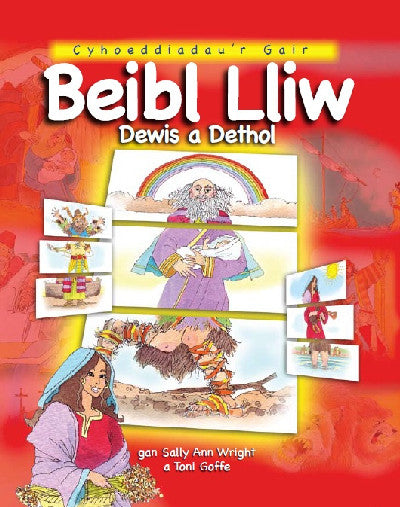 Clawr llyfr / Book cover: Beibl Lliw Dewis a Dethol