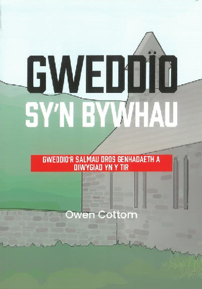 Clawr llyfr / Book cover: Gweddïo sy'n bywhau - Gweddïo'r salmau dros genhadaeth a diwygiad yn y tir