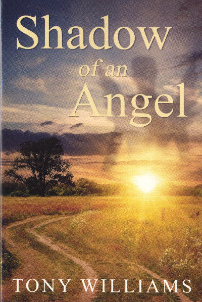 Clawr llyfr / Book cover: Shadow of an Angel