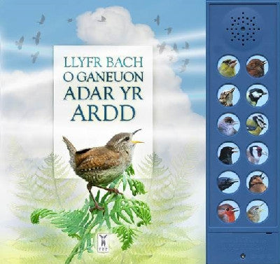Clawr llyfr / Book cover: Llyfr Bach o Ganeuon Adar yr Ardd (Llyfr Sain)