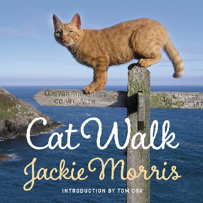 Clawr llyfr / Book cover: Cat Walk