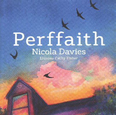 Clawr llyfr / Book cover: Perffaith