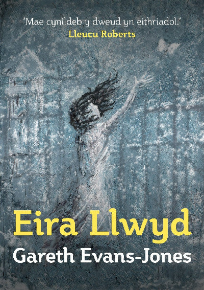 Clawr llyfr / Book cover: Eira Llwyd