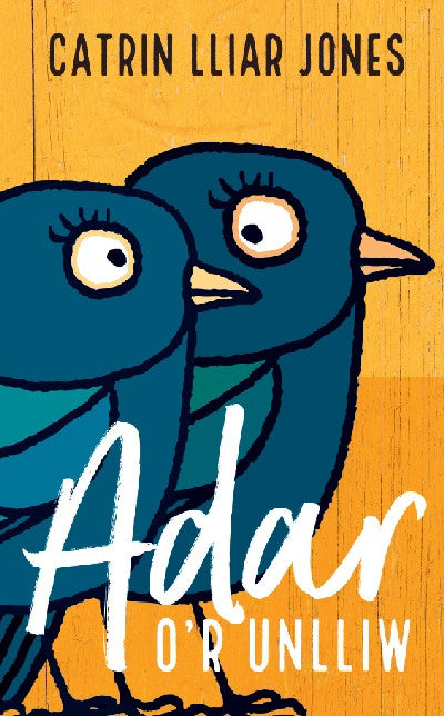 Clawr llyfr / Book cover: Adar o'r Unlliw