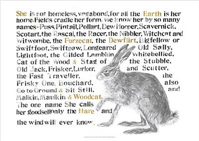 Poster: Jackie Morris Poster: Names of the Hare, The