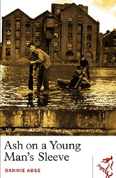 Clawr llyfr / Book cover: Library of Wales: Ash on a Young Man's Sleeve